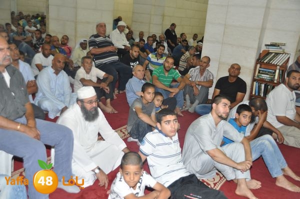 bazsalah lud 712 (3).JPG